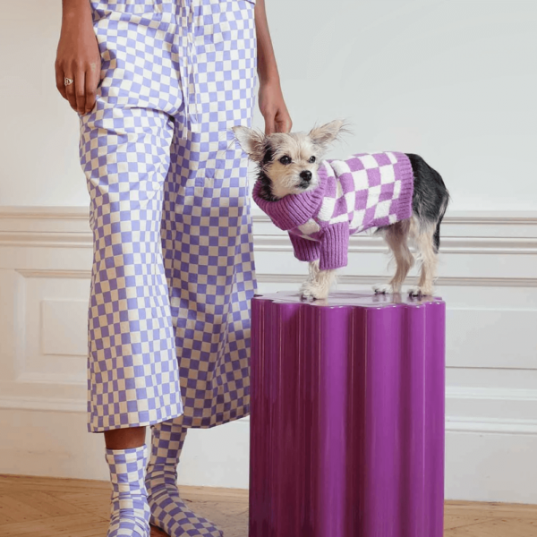product_pet_clothes_10a
