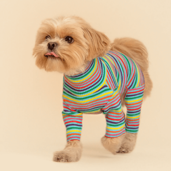product_pet_clothes_14a
