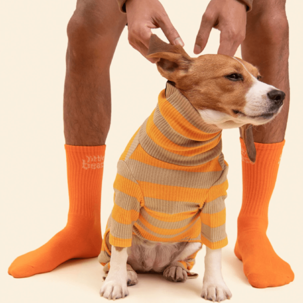 product_pet_clothes_1a