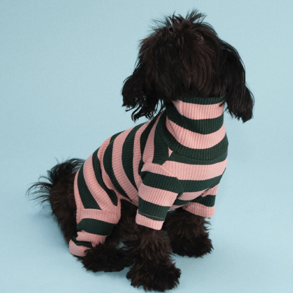 product_pet_clothes_3a