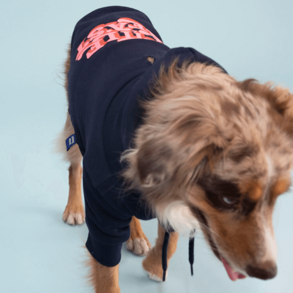 product_pet_clothes_5a