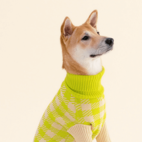 product_pet_clothes_8c